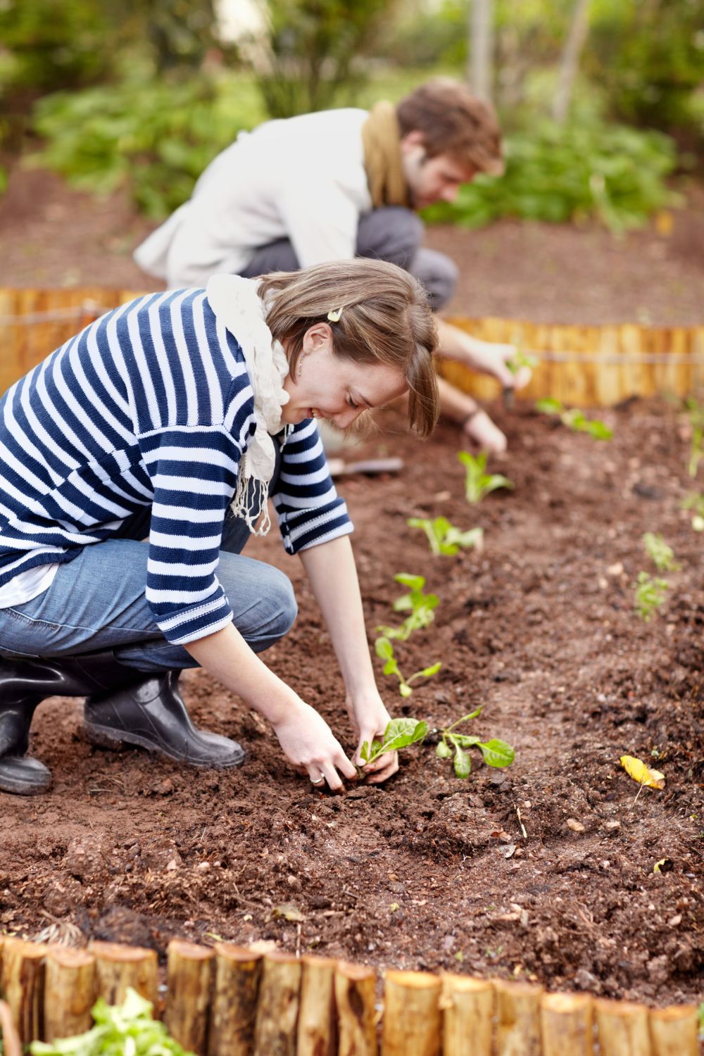 5 Tipps für Gemüsegarten