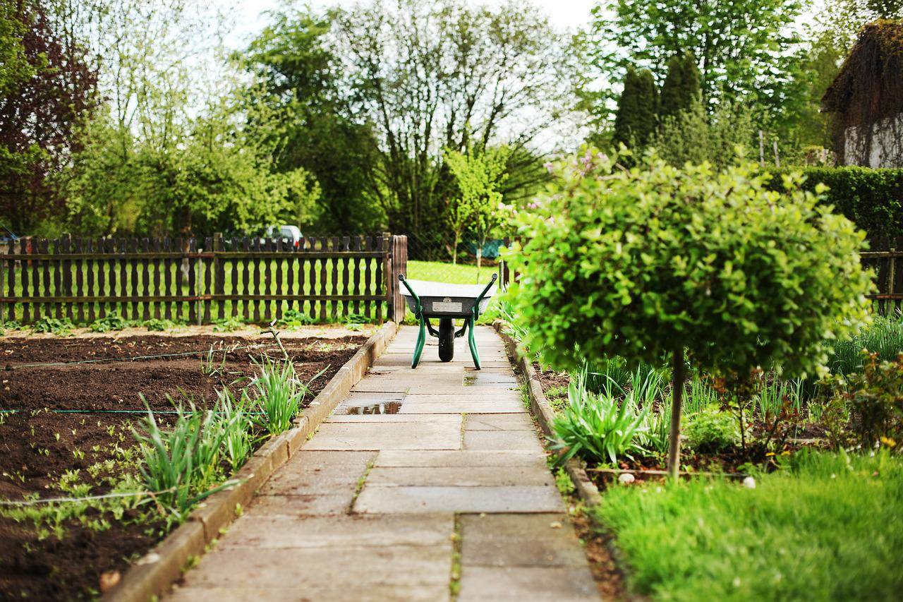 Details für Schrebergarten Ideen: Wie gestalte ich meinen Kleingarten? ansehen Schrebergarten Ideen